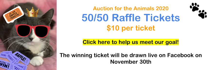 Raffle - Bonita